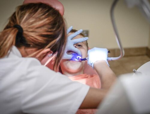 Vestibulum efficitur vehicula odio